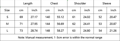 24AW KAPITAL Hirata and Hiroshi Japanese Casual Feather Print Embroidered Loose Men Pullover Hoodie